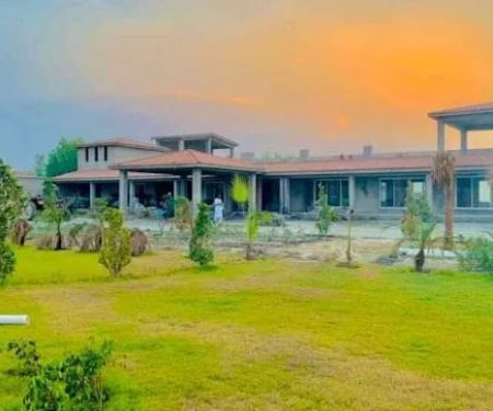 Mamu khatki peshawar