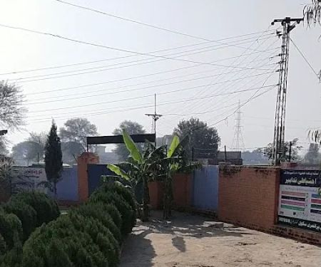 Govt Model Primary School (Boys)