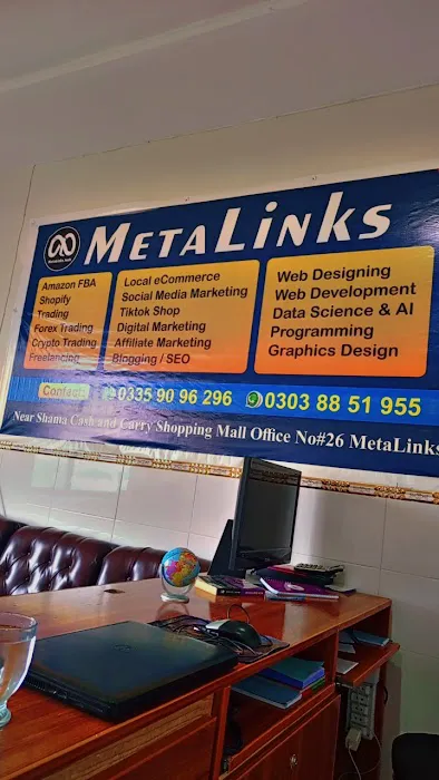 MetaLinks Picture 5