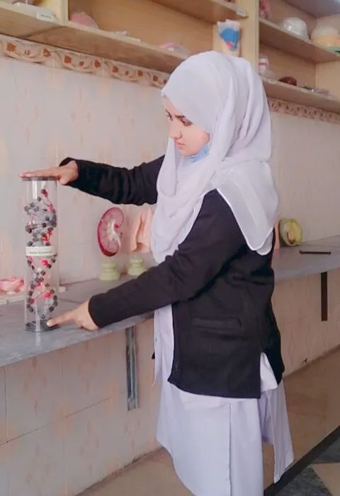 Al-Harmain institute of health sciences Picture 5