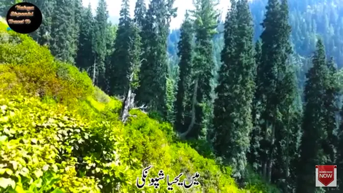 Dawn Public School and College Teri Picture 3