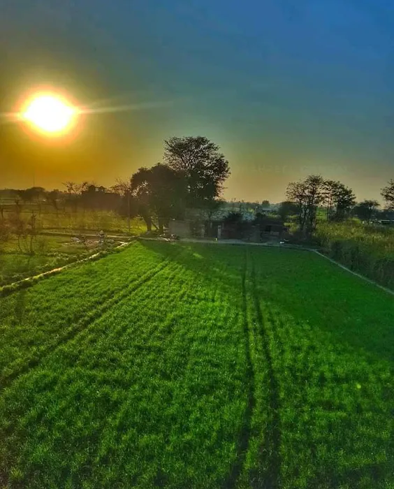 Gujrat Institute of Management Sciences PMAS Arid Agriculture University Rwp (Gujrat) Picture 7