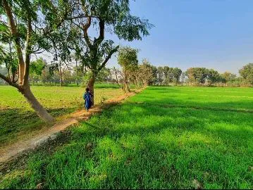 Gujrat Institute of Management Sciences PMAS Arid Agriculture University Rwp (Gujrat) Picture 8