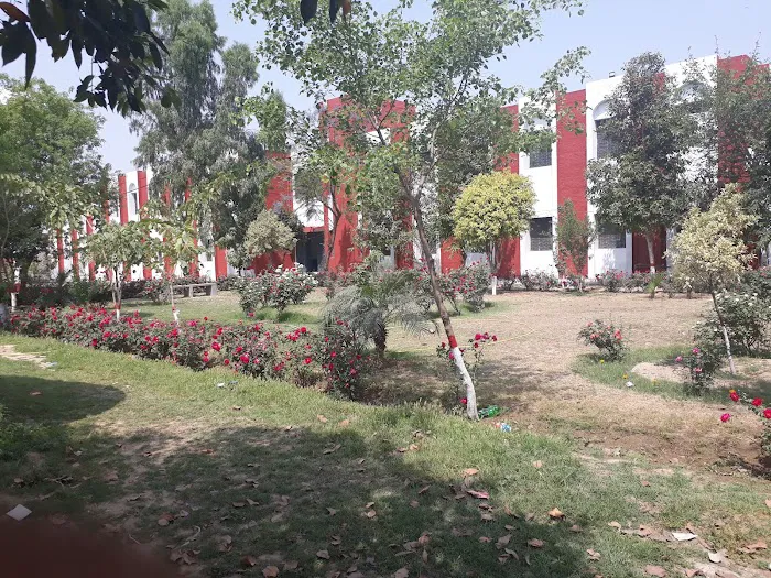Govt. Graduate College Of Commerce, Gujrat Picture 2