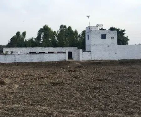 Govt Girls Primary School