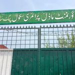 Government Girls Primary School