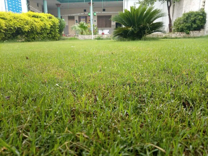 Gandhara College Takht Bhai Picture 3