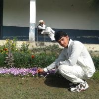 Government Degree College Takht Bhai ico