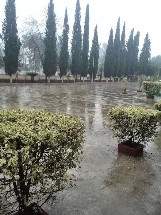 Government Degree College Takht Bhai Picture 5
