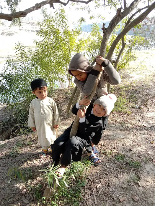 Government Degree College Takht Bhai Picture 10