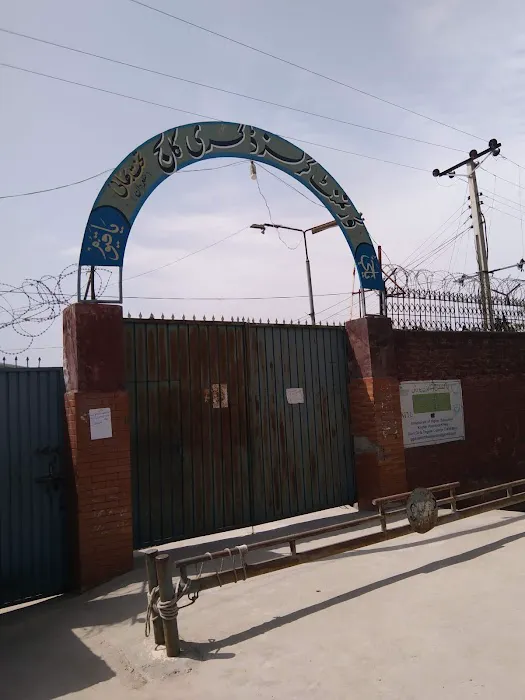 Government Girls Degree College Takht Bhai Picture 1