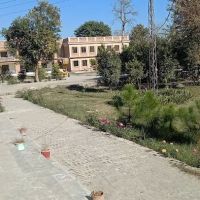 Govt Post Graduate College Charsadda ico