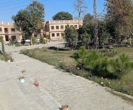 Govt Post Graduate College Charsadda