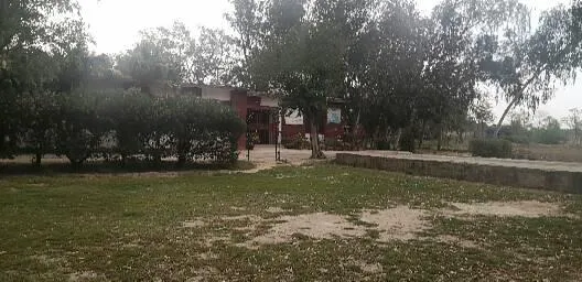 Govt. Abdul Ali khan College Charsadda Picture 3