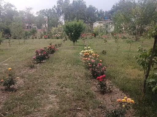 Govt. Abdul Ali khan College Charsadda Picture 9