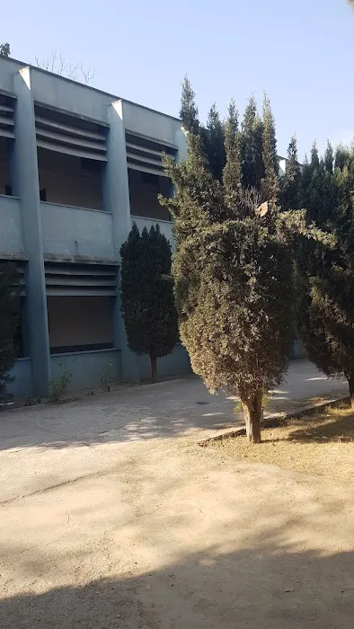 Government Postgraduate College for Men Picture 2