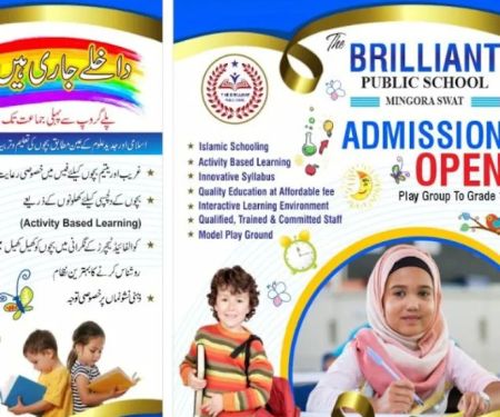 The Brilliant Public school