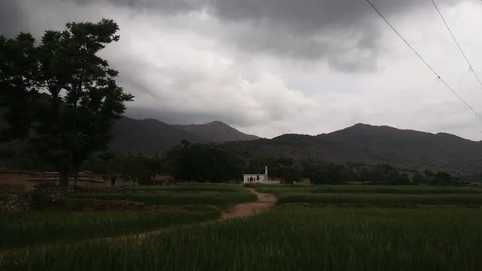 Government Degree College Nawagai Bajaur Picture 8