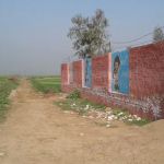 Government Primary School Farm Chackanwali, Tehsil Wazirabad, District Gujranwala