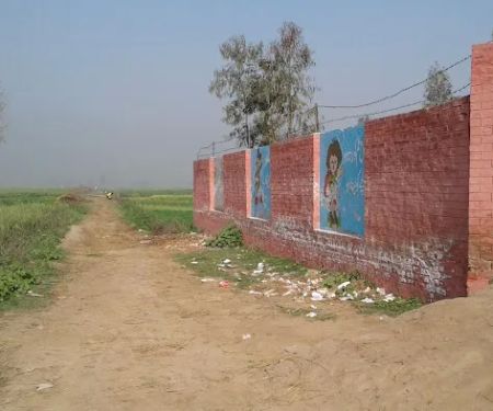 Government Primary School Farm Chackanwali, Tehsil Wazirabad, District Gujranwala