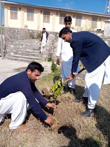 Govt College of Management Sciences Balakot Picture 6
