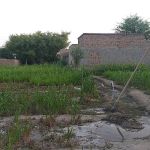 Government Primary School SheiKhan Banda Karak