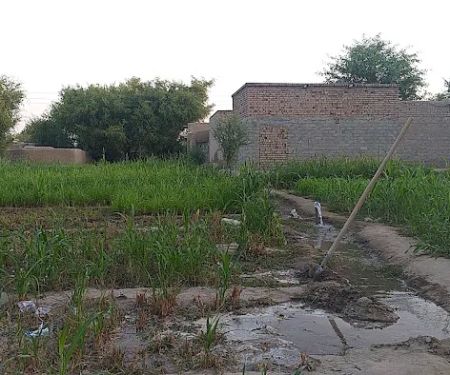 Government Primary School SheiKhan Banda Karak