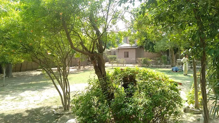 SMIT Peshawar Campus Picture 6