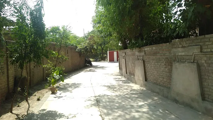 SMIT Peshawar Campus Picture 8