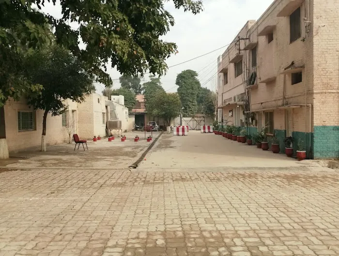 National University of Modern Languages, (NUML), Peshawar campus Picture 1