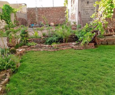 Government Primary School Garhi Ismail Zai