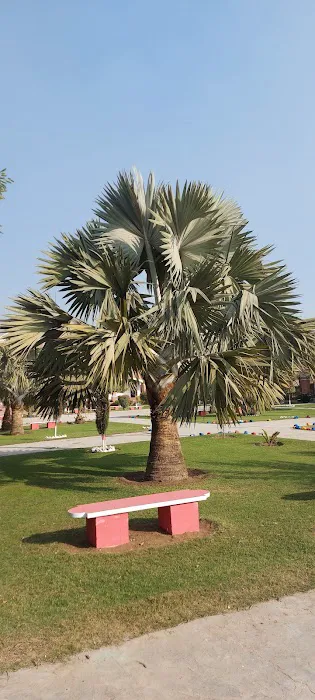 Thal Public School and Inter College Picture 3