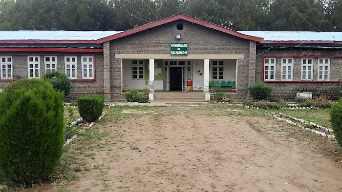 Department of Archaeology Picture 3