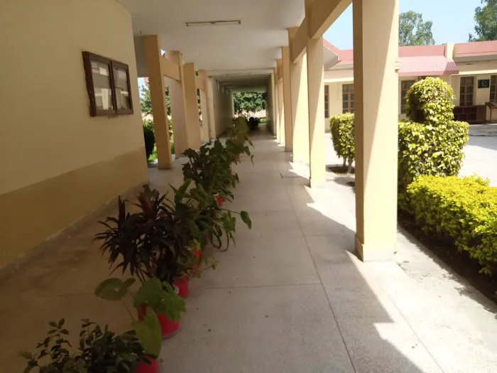 PAEC Model College for Boys Picture 3