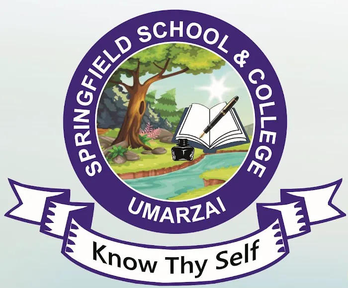 Springfield School & College Umarzai Picture 1