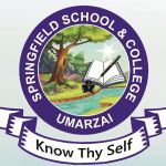 Springfield School & College Umarzai
