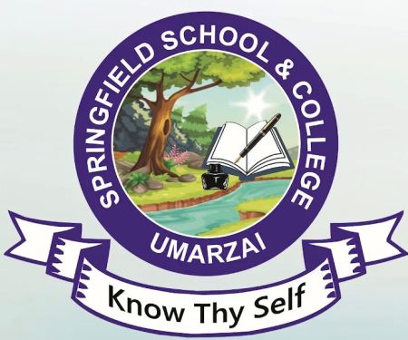 Springfield School & College Umarzai