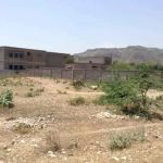 TCF Primary School
