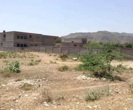 TCF Primary School