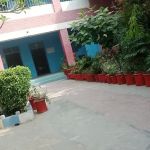 G.G.H.S. Arfat colony Gujranwala
