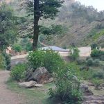 Government Primary School Samsary