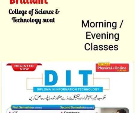 The Brilliant College of Science & Technology