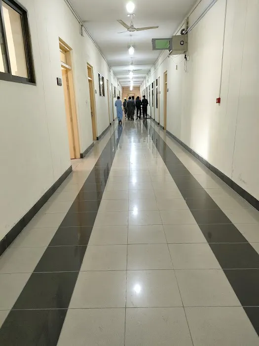 Department Of Electronics Picture 2