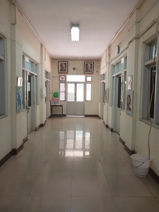 Department of Philosophy University of Peshawar Picture 3