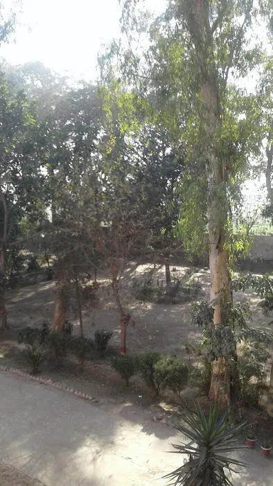 Govt Degree College for Boys Picture 6
