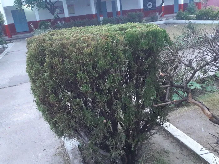 Govt College for Women Picture 9