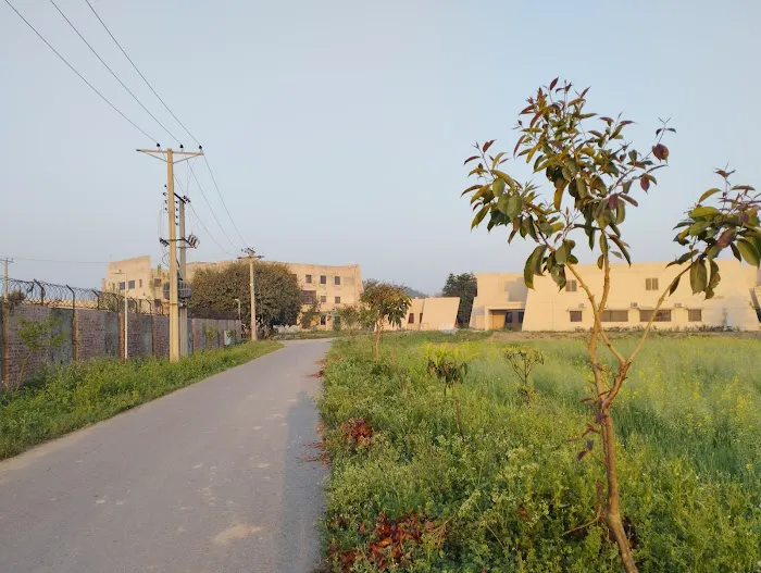 University of Gujrat Picture 8