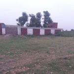 Govt Model Primary School (Boys)