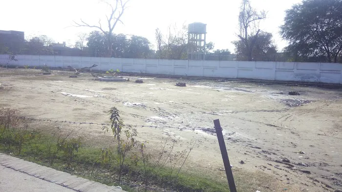 School of Law Picture 1