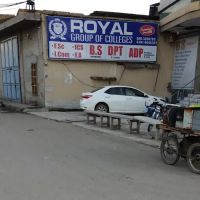 Royal Group of Colleges ico